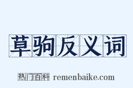 草驹反义词是什么意思的图片